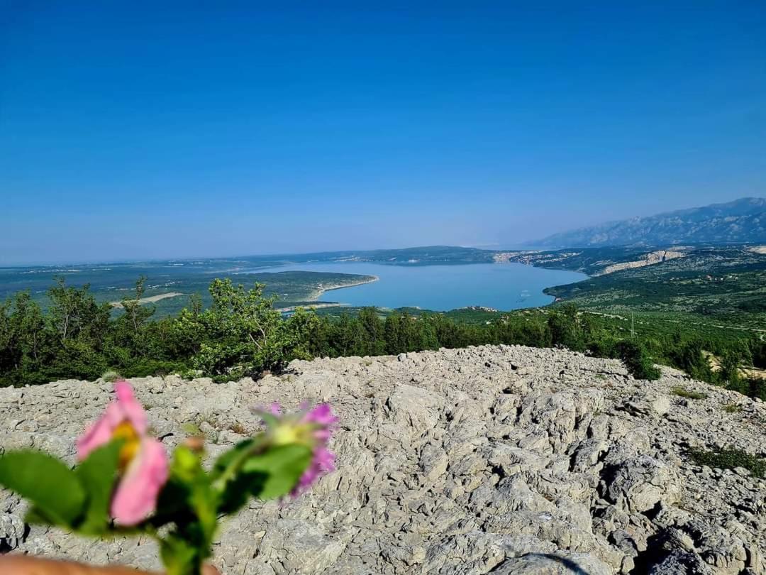 Apartman Ivan Kruševo Dış mekan fotoğraf